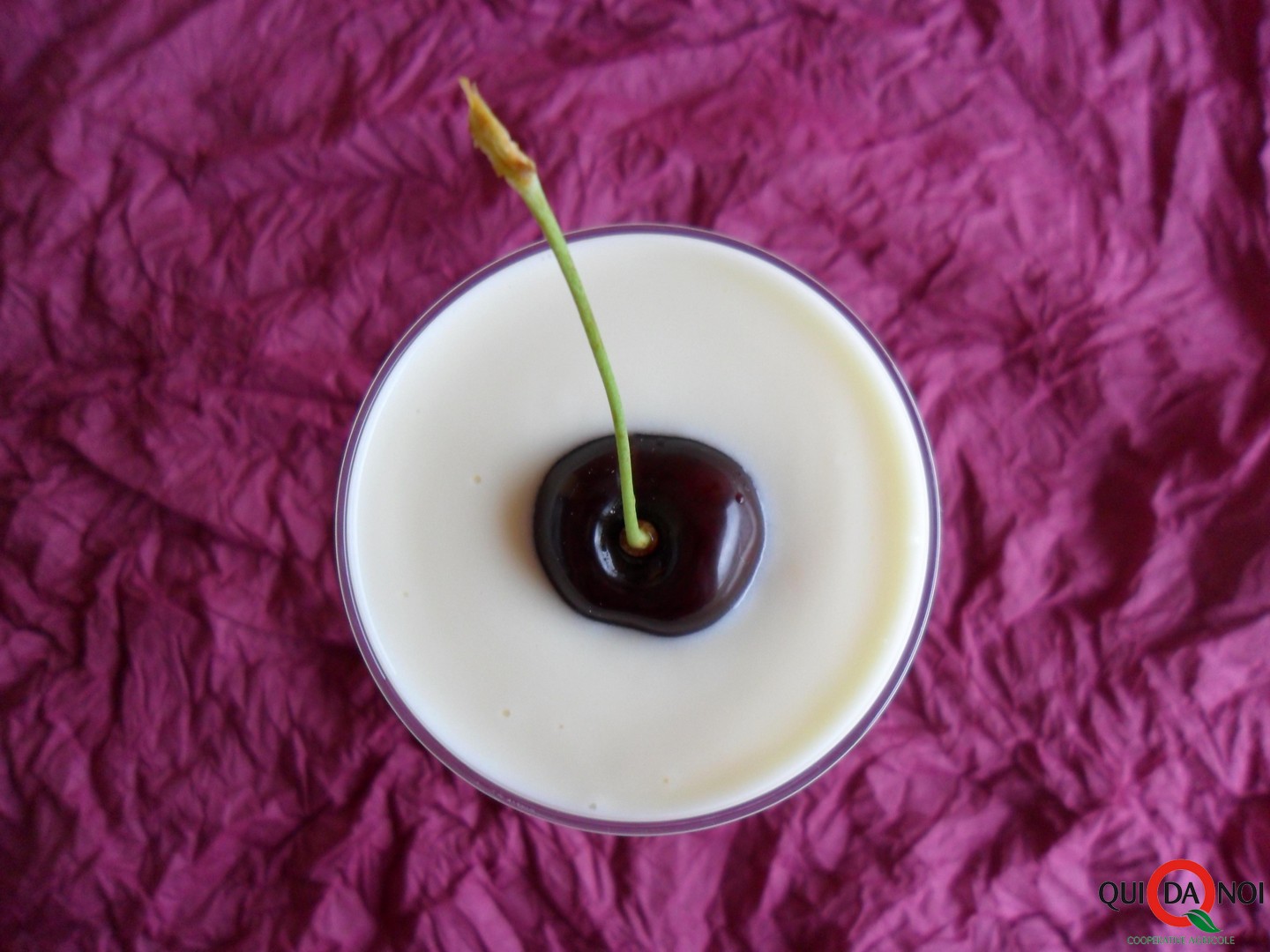 Coppa di yogurt, cioccolato bianco e frutta di stagione_paola (1)