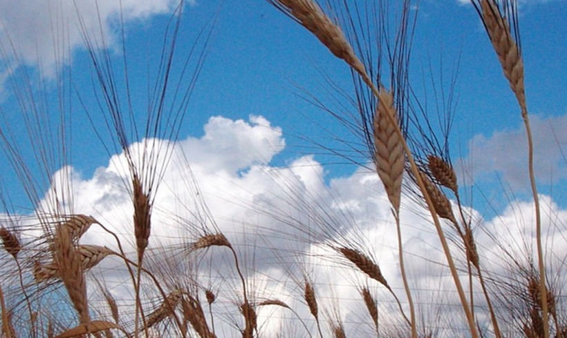 Cooperativa Agricola GIROLOMONI: oltre il biologico