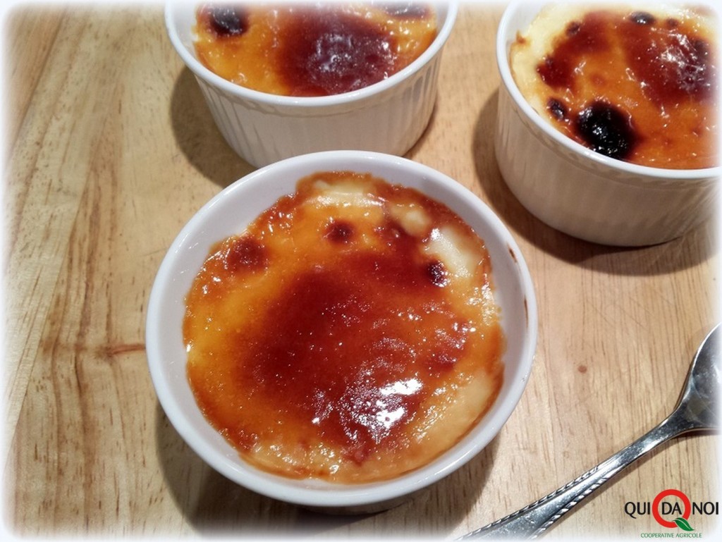 CREMA CATALANA 1