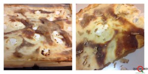 FOCACCIA AI FORMAGGI E TARTUFO BIANCO 4