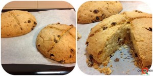 panettone basso tipo geneovese passaggio 3