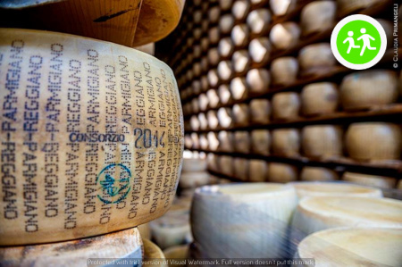 IL PARMIGIANO: LA CULTURA ITALIANA SI FA A SCAGLIE