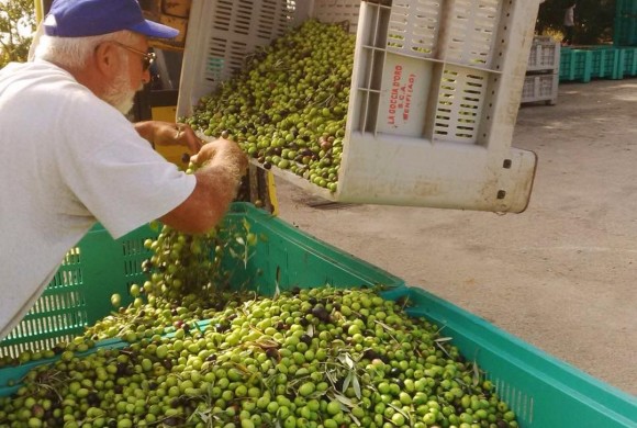 La Goccia d’Oro e il valore della cooperazione.