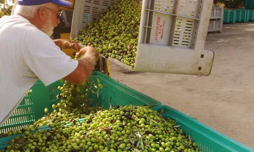 La Goccia d’Oro e il valore della cooperazione.