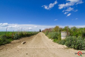 paesaggio_strada