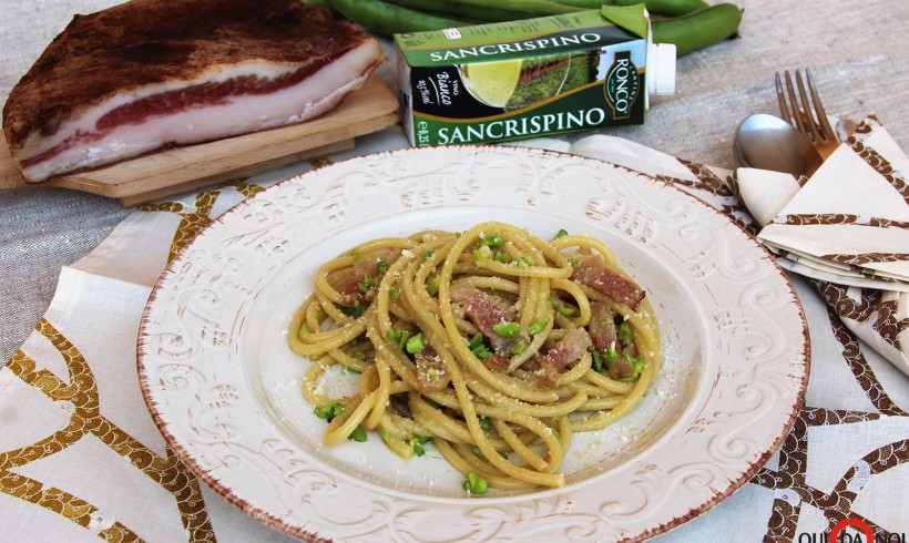 PASTA ALLA GRICIA, FAVE E PECORINO