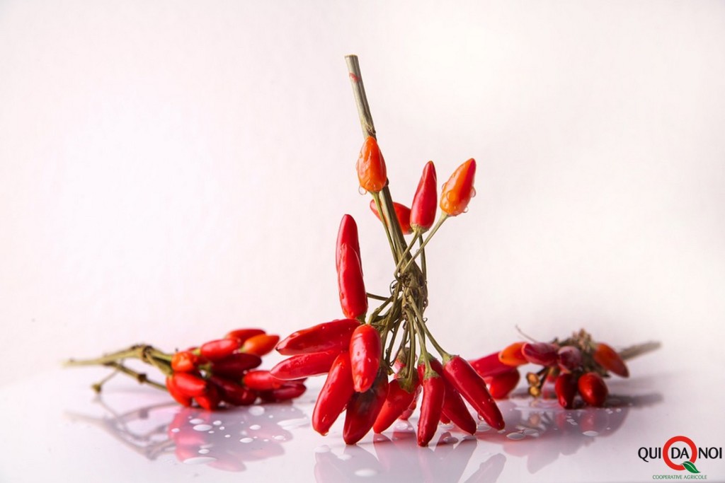 peperoncino_tradizione