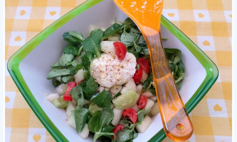 INSALATA DI MELONE BIANCO E RICOTTA