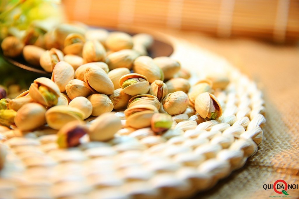 pistacchio