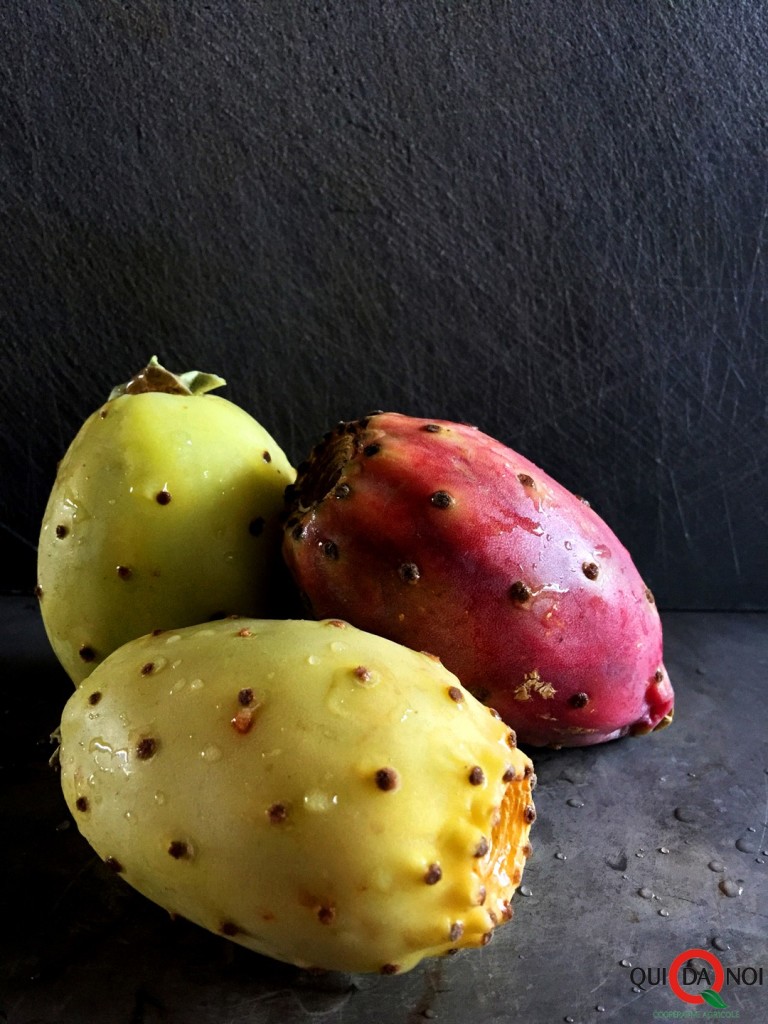 fico d'india_frutto