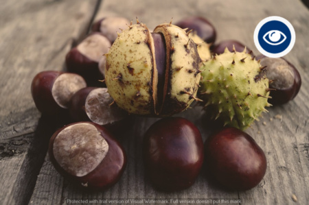 L’AUTUNNO MINACCIA LA TUA PELLE? DIFENDITI CON GLI IMPACCHI ALLE CASTAGNE!