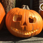 JACK-O’-LANTERN: ZUCCHE DECORATIVE