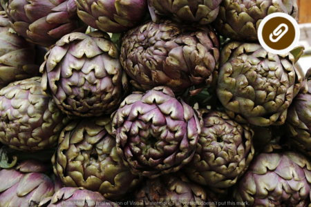 CARCIOFI IN FESTA!