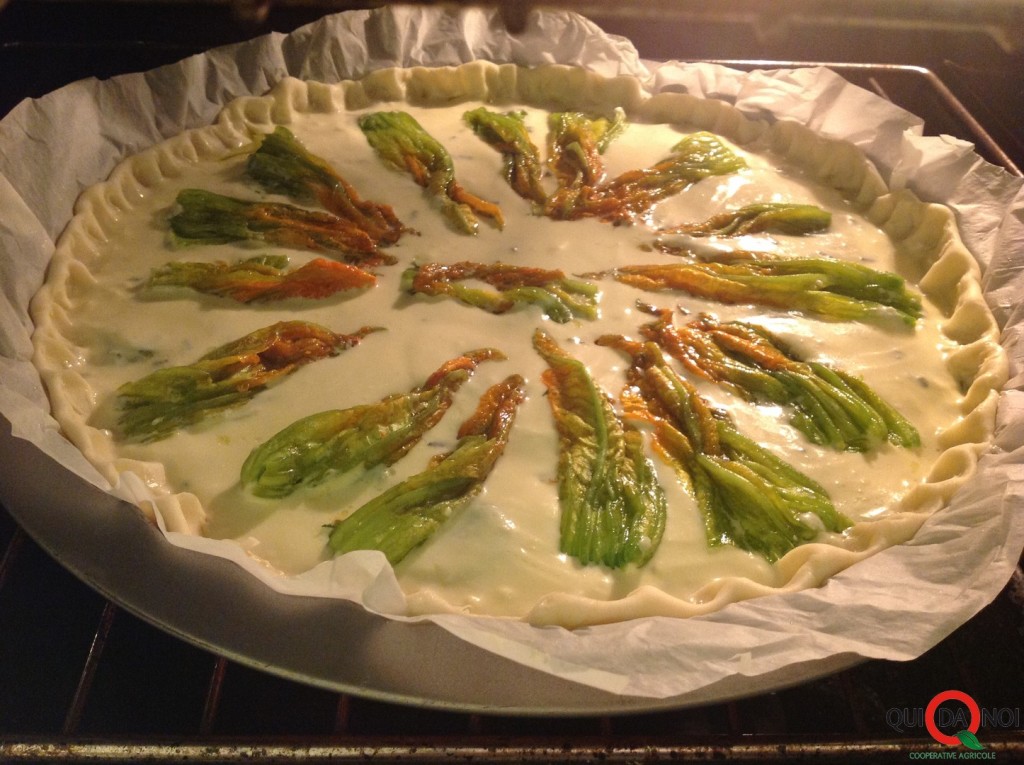 quiche con fiori di zucchina_forno