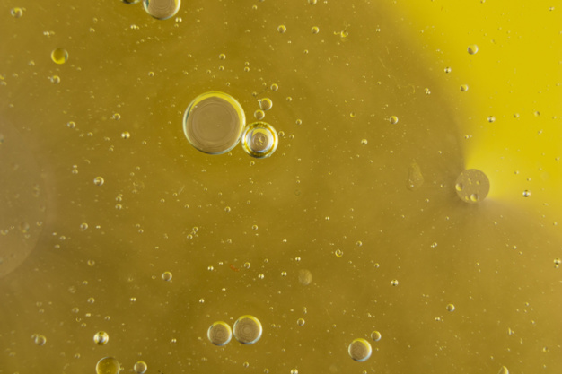 L’Olio extravergine d’oliva italiano di alta qualità