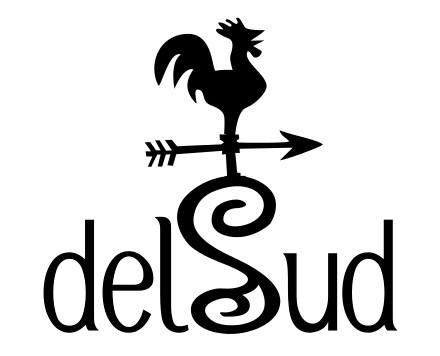 delsud_logo
