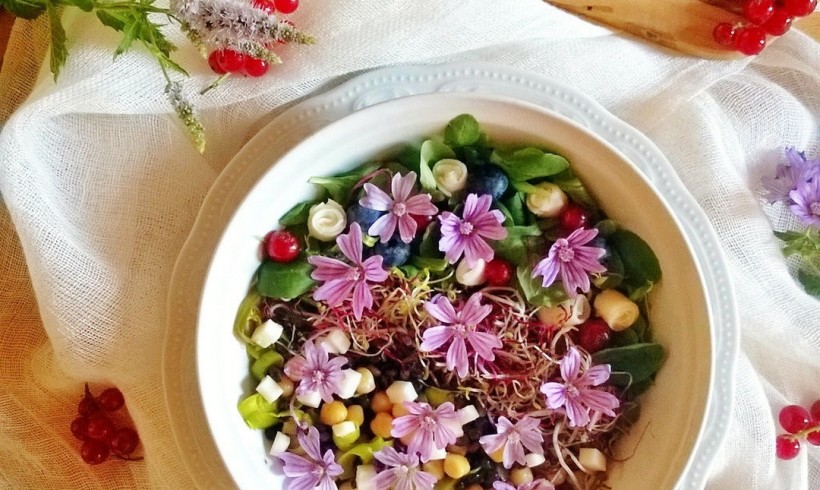 Bowl con malva, primizie biologiche e fiori di caciotta fresca by Gabriella Pizzo