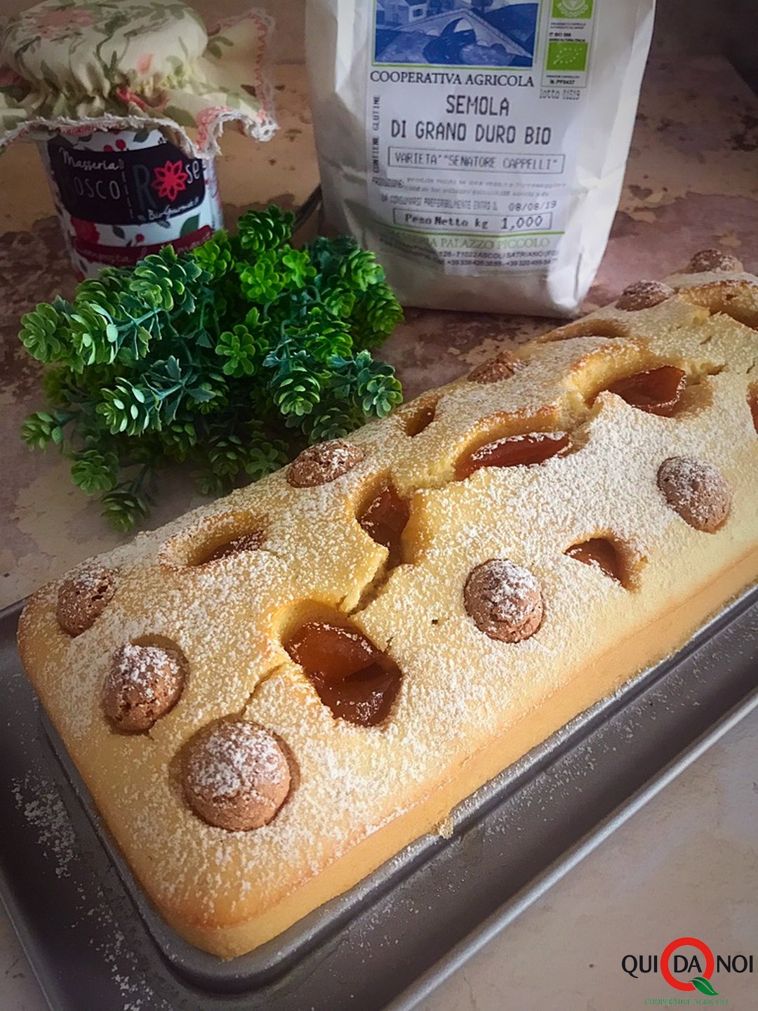 plumcake di farina di semola con amaretti e kumquat_monica benedetto (3)