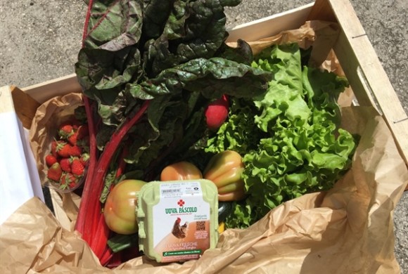 Fattoria sociale “La Volpe sotto i Gelsi”: bio kit “AntiCovid-19” con frutta e verdure bio e beni di prima necessità
