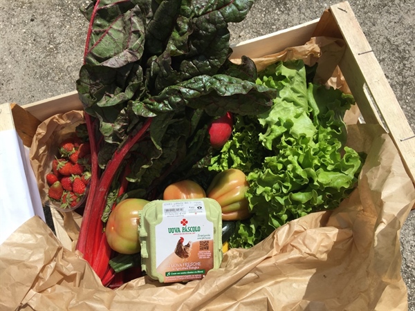 Fattoria sociale “La Volpe sotto i Gelsi”: bio kit “AntiCovid-19” con frutta e verdure bio e beni di prima necessità