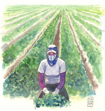 Agricoltura (Milo Manara)