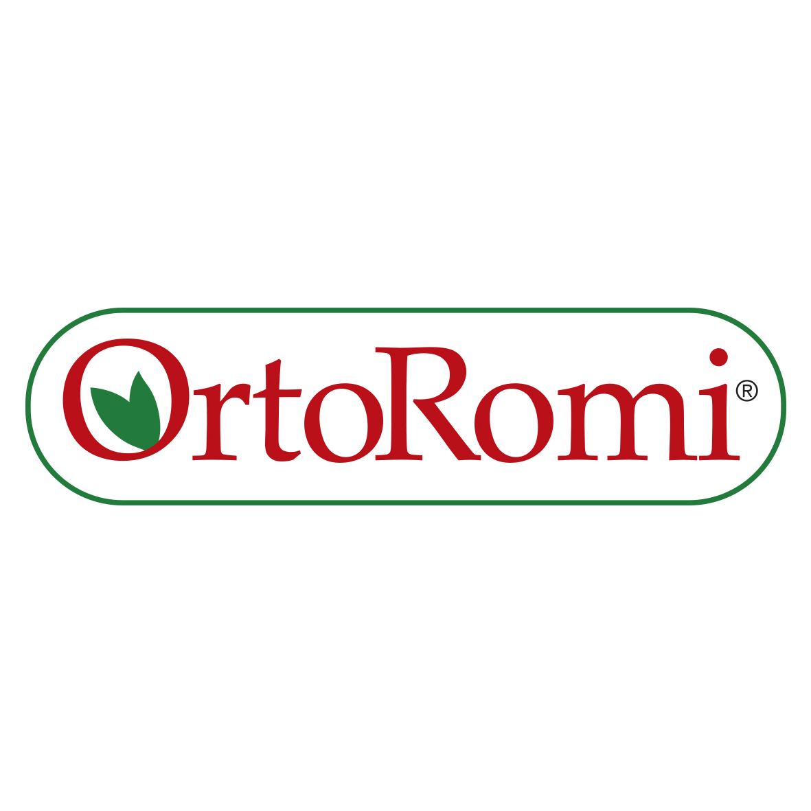 ortoromi_logo