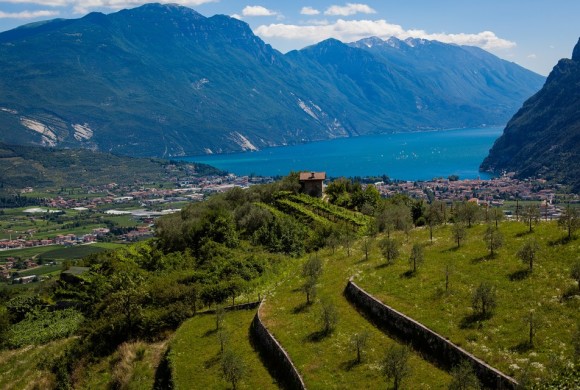 Agraria Riva del Garda. La capacità di trasformare il territorio in gusto, sapore e piacere