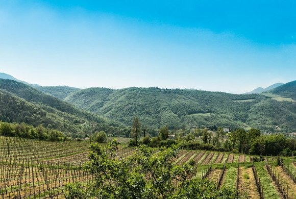 La cantina Colli Euganei lancia il nuovo marchio VO’ insieme al comune