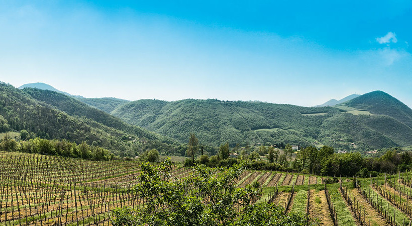 La cantina Colli Euganei lancia il nuovo marchio VO’ insieme al comune