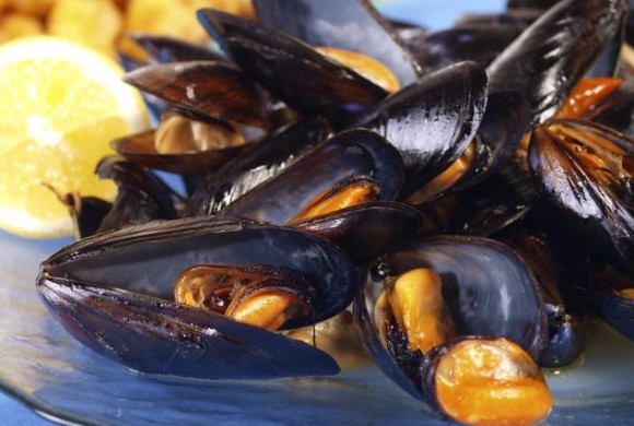 Le cozze, regine della tavola estiva