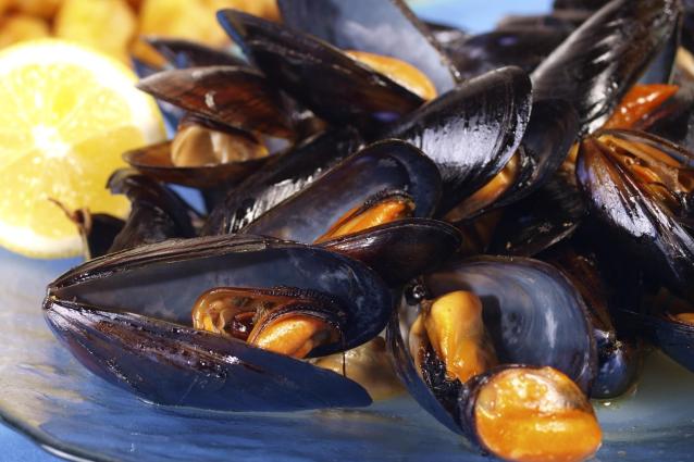 Le cozze, regine della tavola estiva