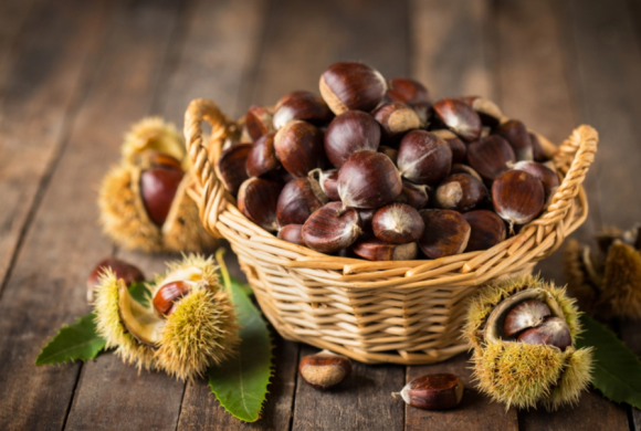 Castagne: proprietà, benefici e curiosità