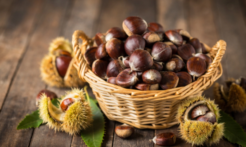 Castagne: proprietà, benefici e curiosità