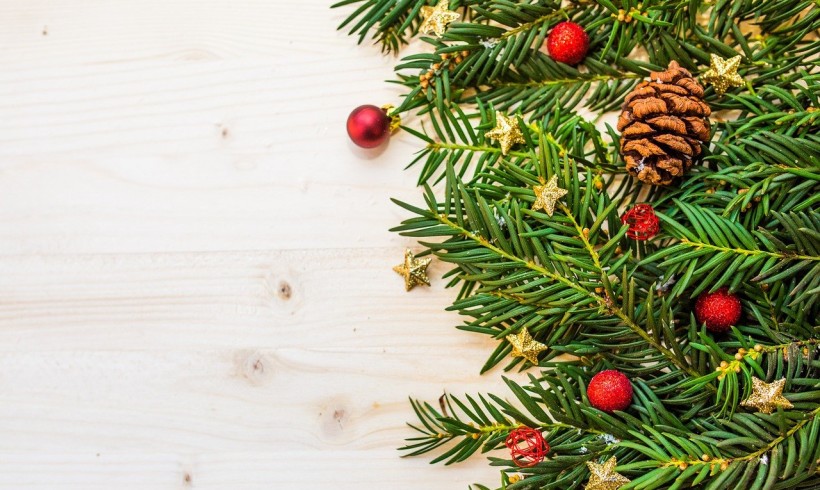 Natale. 5 consigli per rendere il vostro albero ancora più “green”!