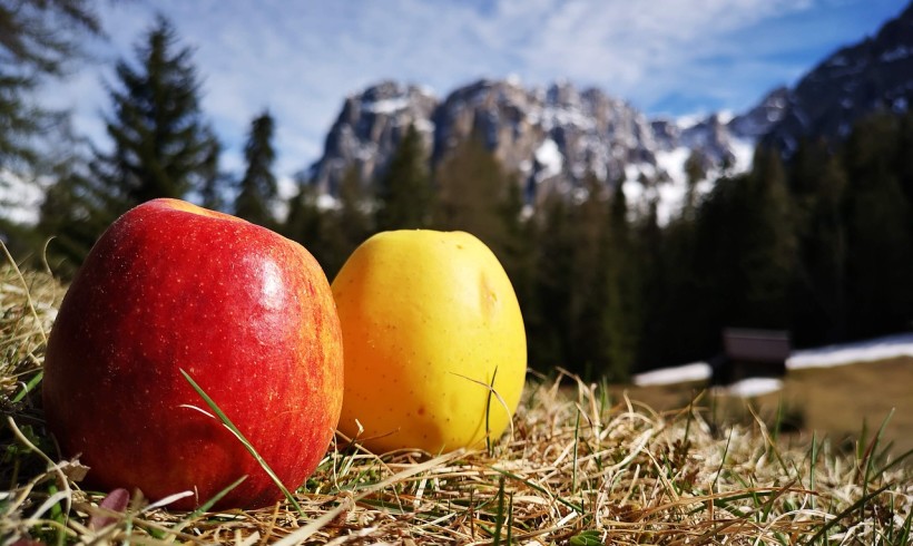 Montagne. Culle della biodiversità da proteggere