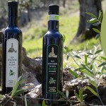 Cooperativa Oleificio Pozzuolese. Presentazione e degustazione Olio Novello 2021: Domenica 17 Ottobre