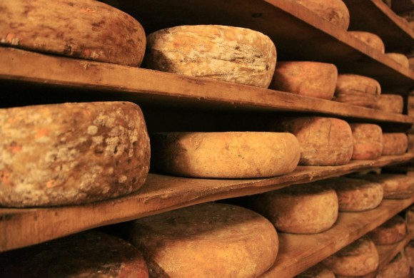 Il formaggio: un viaggio alimentare insieme all’uomo (I parte)