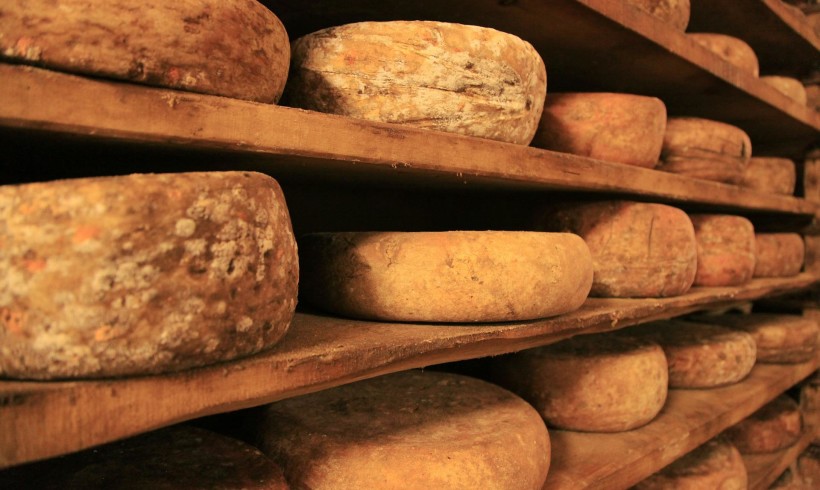 Il formaggio: un viaggio alimentare insieme all’uomo (I parte)