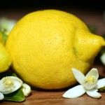 Limone. Proprietà terapeutiche e utilizzi in cucina