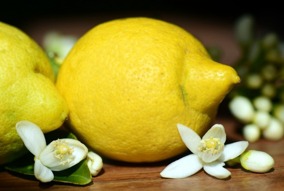 Limone. Proprietà terapeutiche e utilizzi in cucina